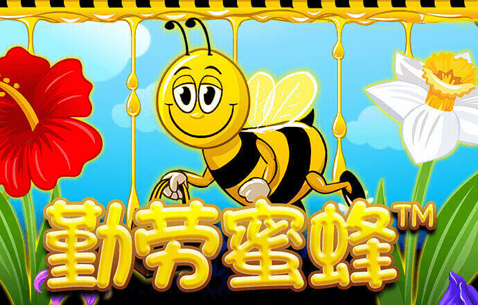 半岛bob综合登入